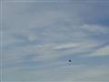 F16 Slow pass Til Airshow 2010